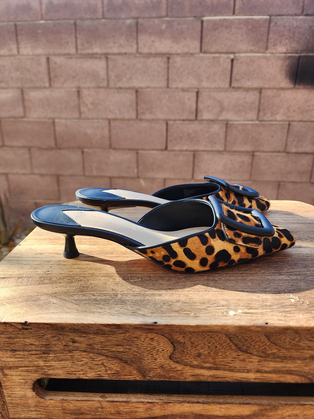 Antonio Melani Kendra Leopard Print Haircalf Buckle Ornament Dress Mules Size 6 - Picture 5 of 8